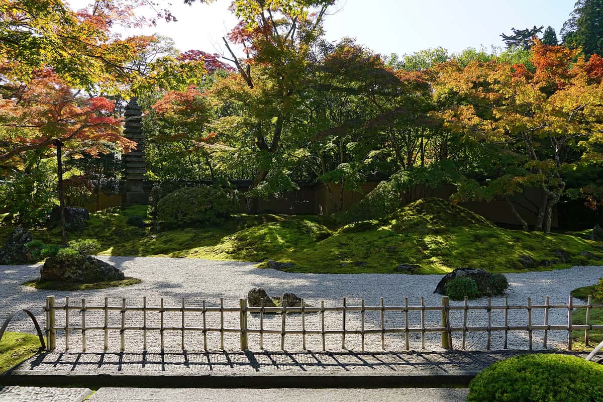 円通院枯山水庭園，白砂苔庭周圍紅葉正在轉色