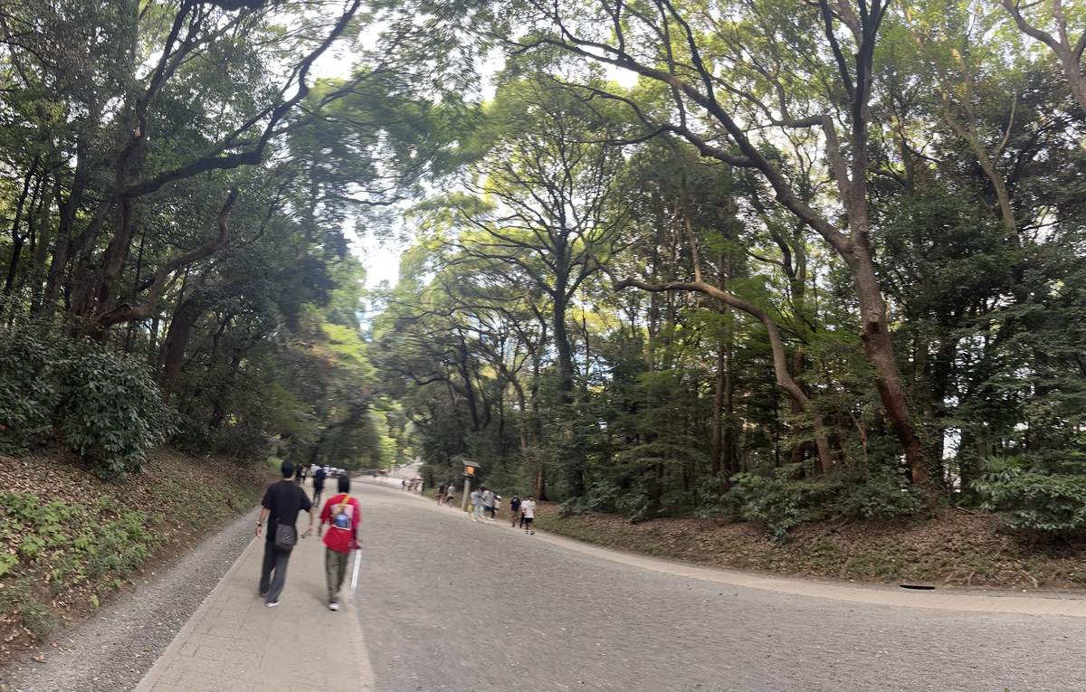 明治神宮南參道——高聳常綠闊葉樹夾道的森林參道與參拜人潮
