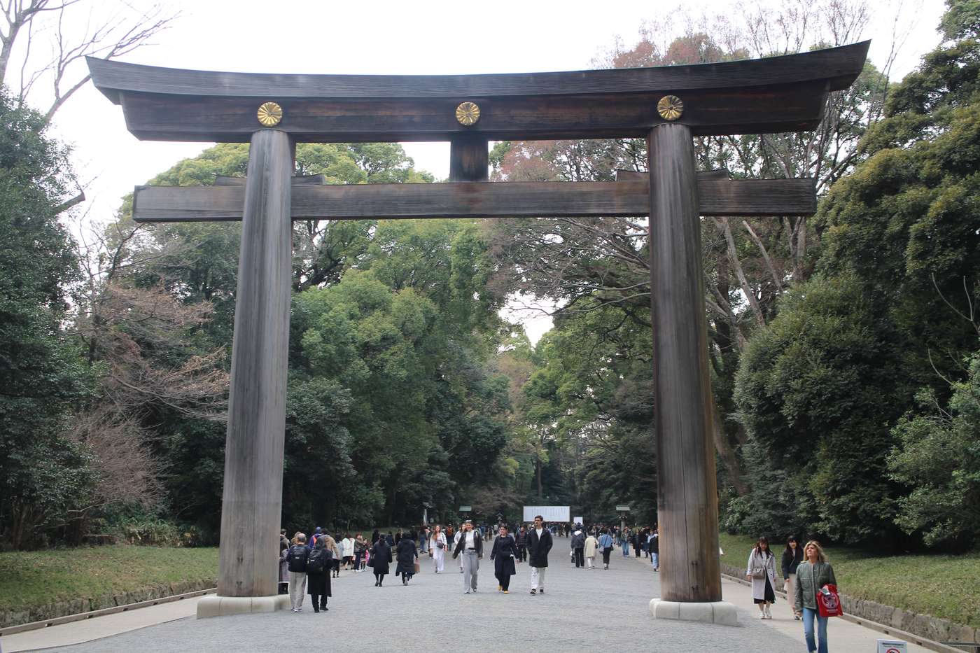 明治神宮大鳥居(二の鳥居)正面全景,木造明神鳥居下有參拜者穿行