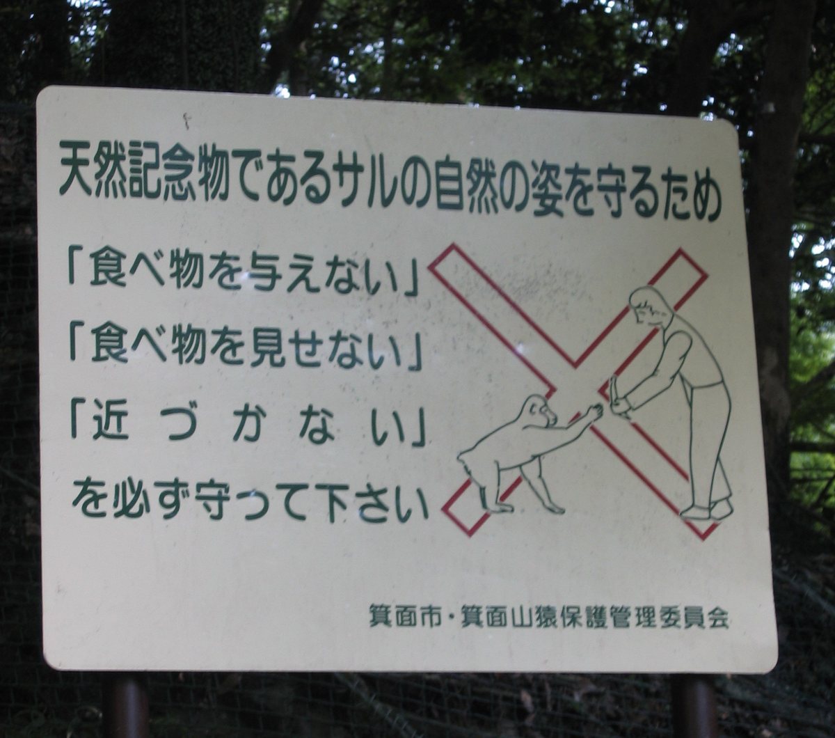 箕面公園的猴子告示牌,綠字日文列出不給食物、不讓猴子看到食物、不靠近三條規矩,旁邊是人餵猴子被紅色叉號劃掉的插圖