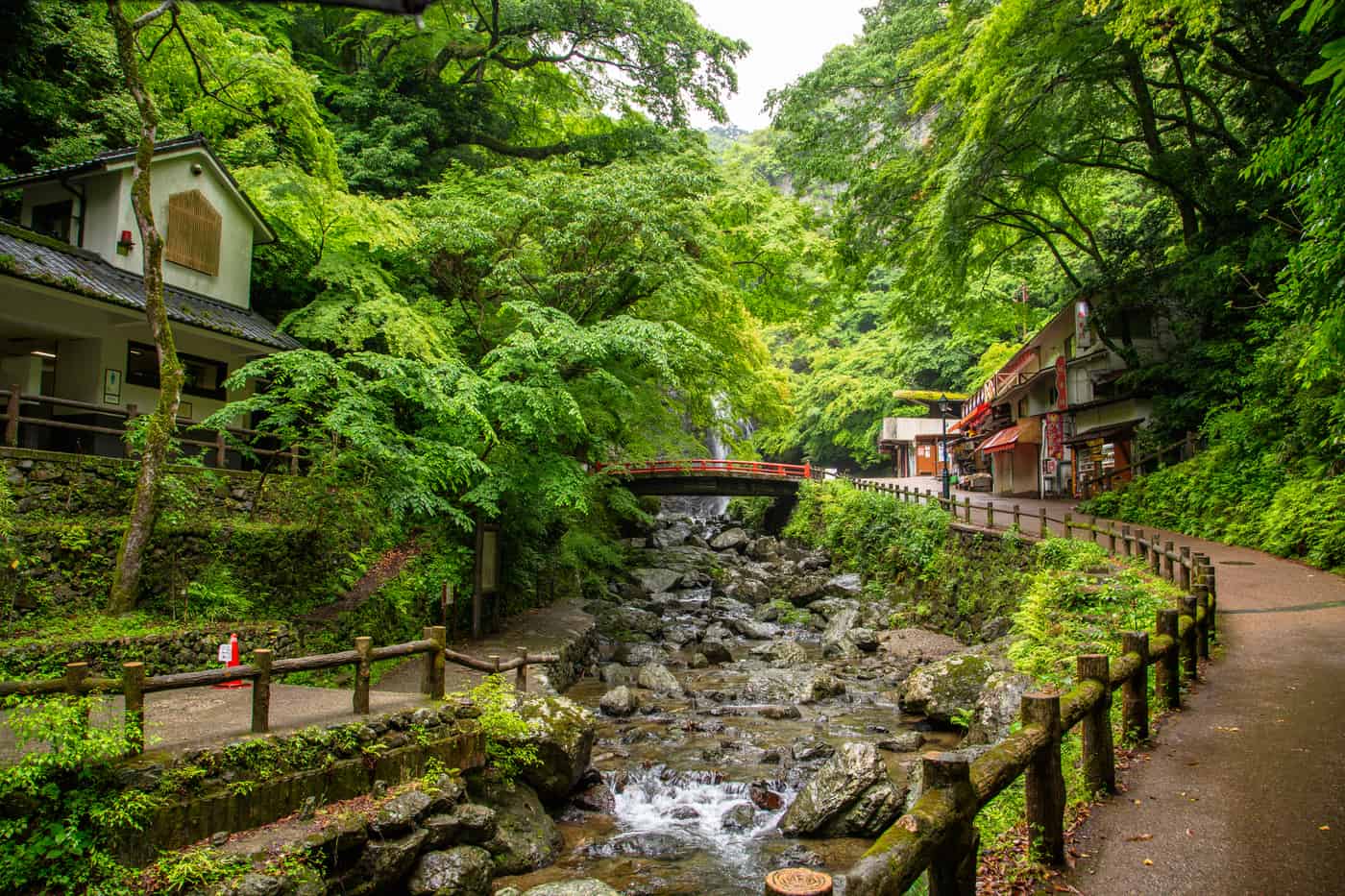 箕面滝道沿溪谷的遊步道實景,朱紅小橋與茶屋店家、夏季新綠