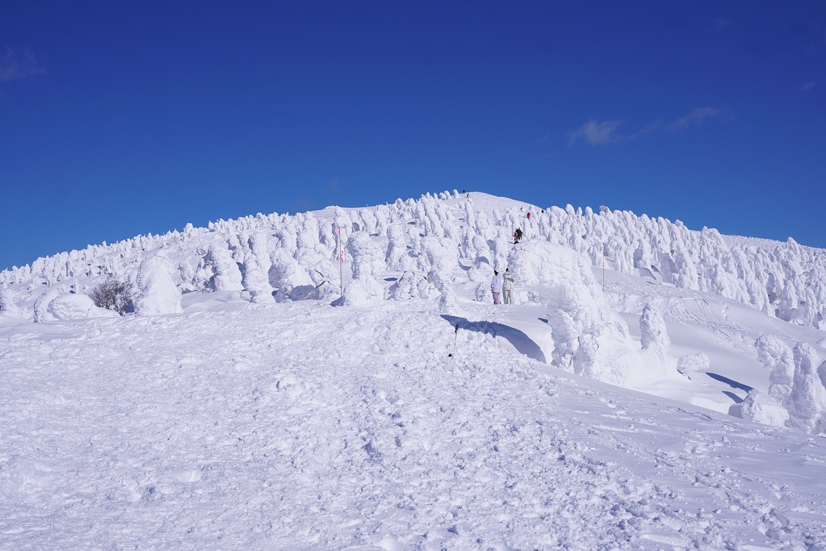 2 月中旬的森吉山樹冰平：一整道山稜上密密站滿被冰雪包成白色的樹冰，稜線下方的雪坡上有兩三個人影小得像點，旁邊插著紅白色的路線桿，前景是滿是腳印的粗糙雪面