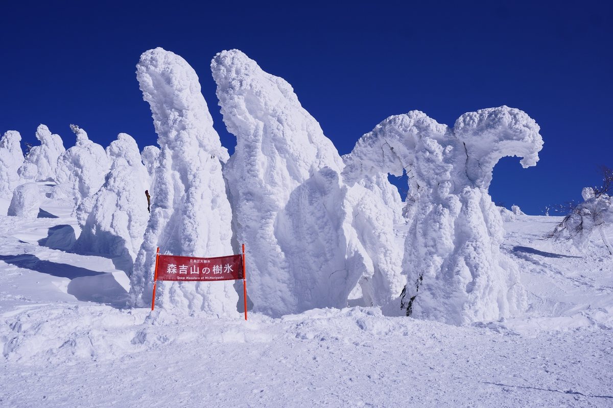 樹冰平上的紅色看板，白字寫著「日本三大樹氷 森吉山の樹氷 Snow Monsters of Mt.Moriyoshi」，看板後方立著三、四棵比看板高好幾倍的大型樹冰，天空是深藍色
