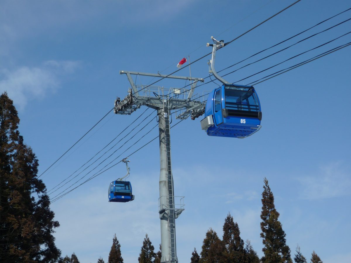 兩台藍色的纜車車廂掛在鋼索上，車身編號 85 和 46，中間是一根灰色的纜車支柱，背景是藍天，下方是杉樹樹梢