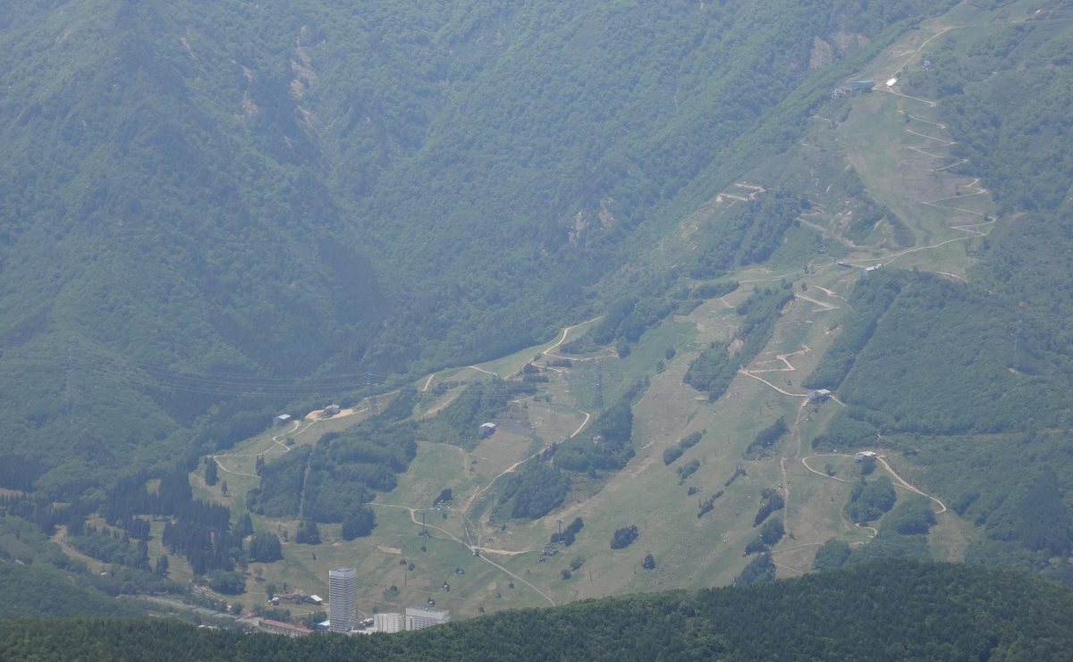 5 月底從平標山山頂往下看苗場滑雪場：整片山坡是綠色草地和樹林，雪道變成一條條淺色草坡和之字形的作業道路，左下角山腳有一棟高塔樓和幾棟白色建物