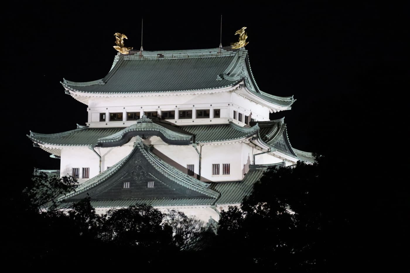 夜間打燈的名古屋城天守閣,金鯱在燈光下發亮