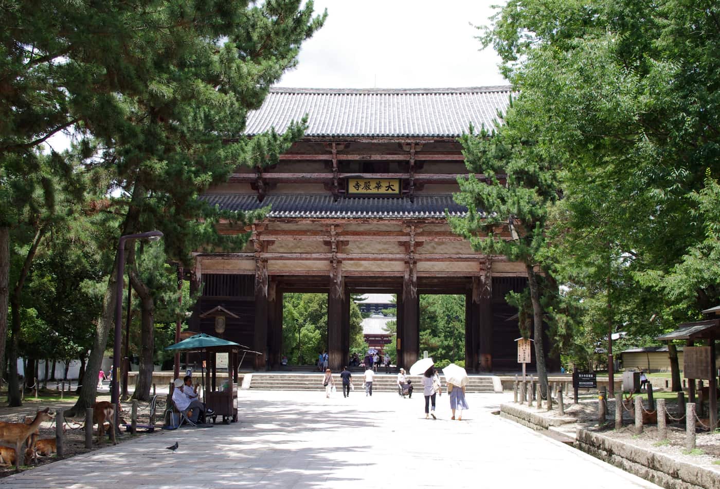 東大寺南大門與參道,門前有遊客走動、路邊樹蔭下有鹿群