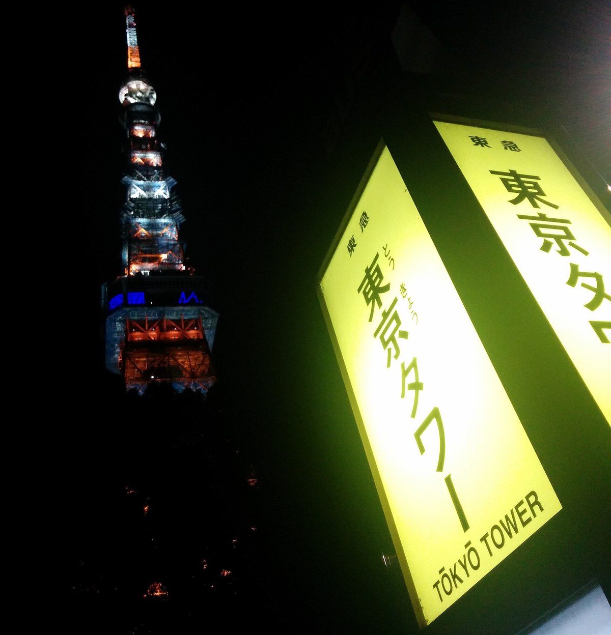 深夜的東急巴士「東京タワー」站牌燈箱,背景是點燈中的東京鐵塔
