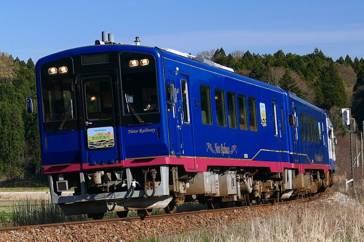 のと鉄道的深藍色觀光列車「のと里山里海号」行駛在單線鐵道上,車頭掛著藍底金字的頭牌,車身側面漆著金色的 Noto Railway 字樣與一道桃紅色腰線,背景是杉木林與枯草坡,天空晴朗