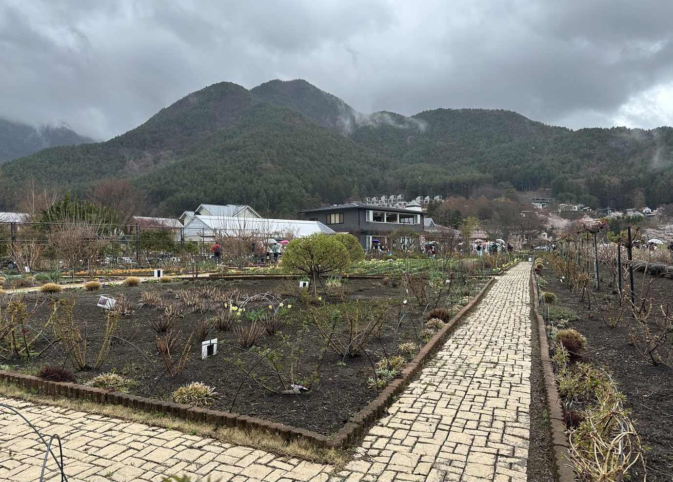 河口湖大石公園沿湖花街道步道,可望富士山