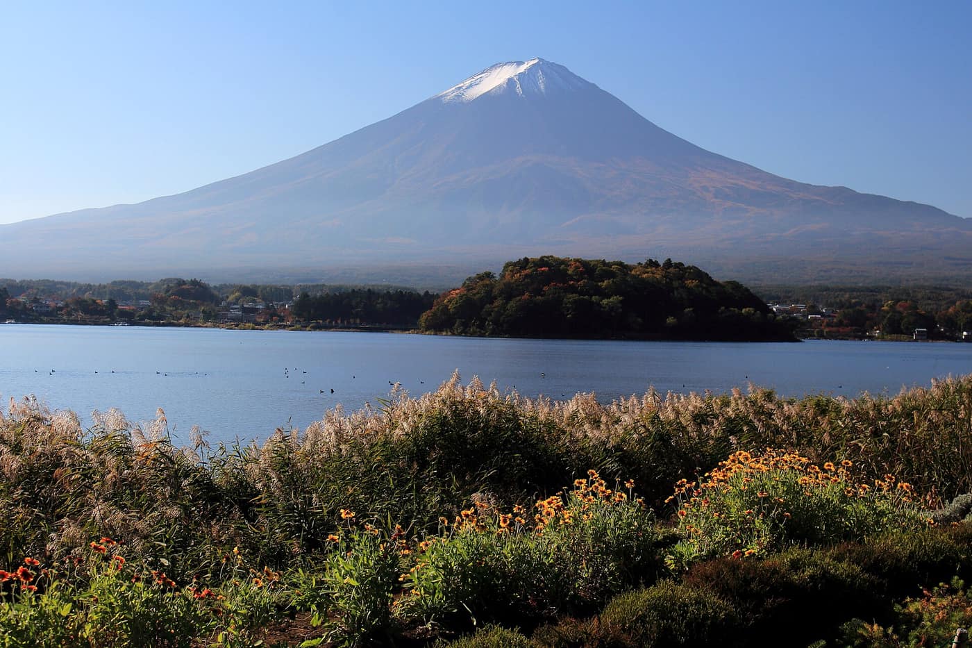河口湖大石公園眺望富士山與湖面倒影的景觀