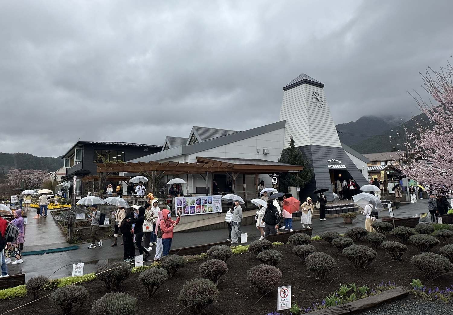 河口湖自然生活館建築外觀,園內免費入館的賞景與商店設施