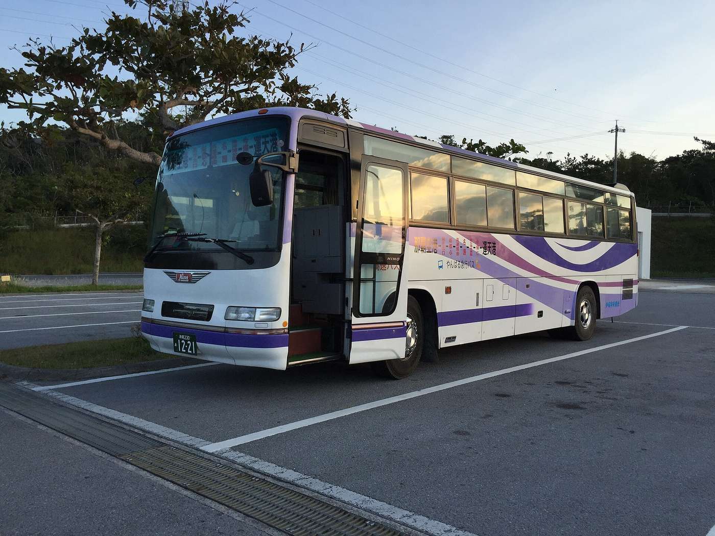 やんばる急行巴士的紫白色車身,側面印著「那覇空港-県庁北口-前島-高速経由-名護-美ら海水族館-今帰仁-運天港」的路線字樣與品牌標誌