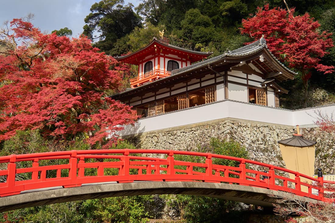 瀧安寺的朱紅拱橋瑞雲橋,橋後方是白牆木格子窗的客殿與頂著金色鳳凰的朱紅鳳凰閣,兩側楓紅