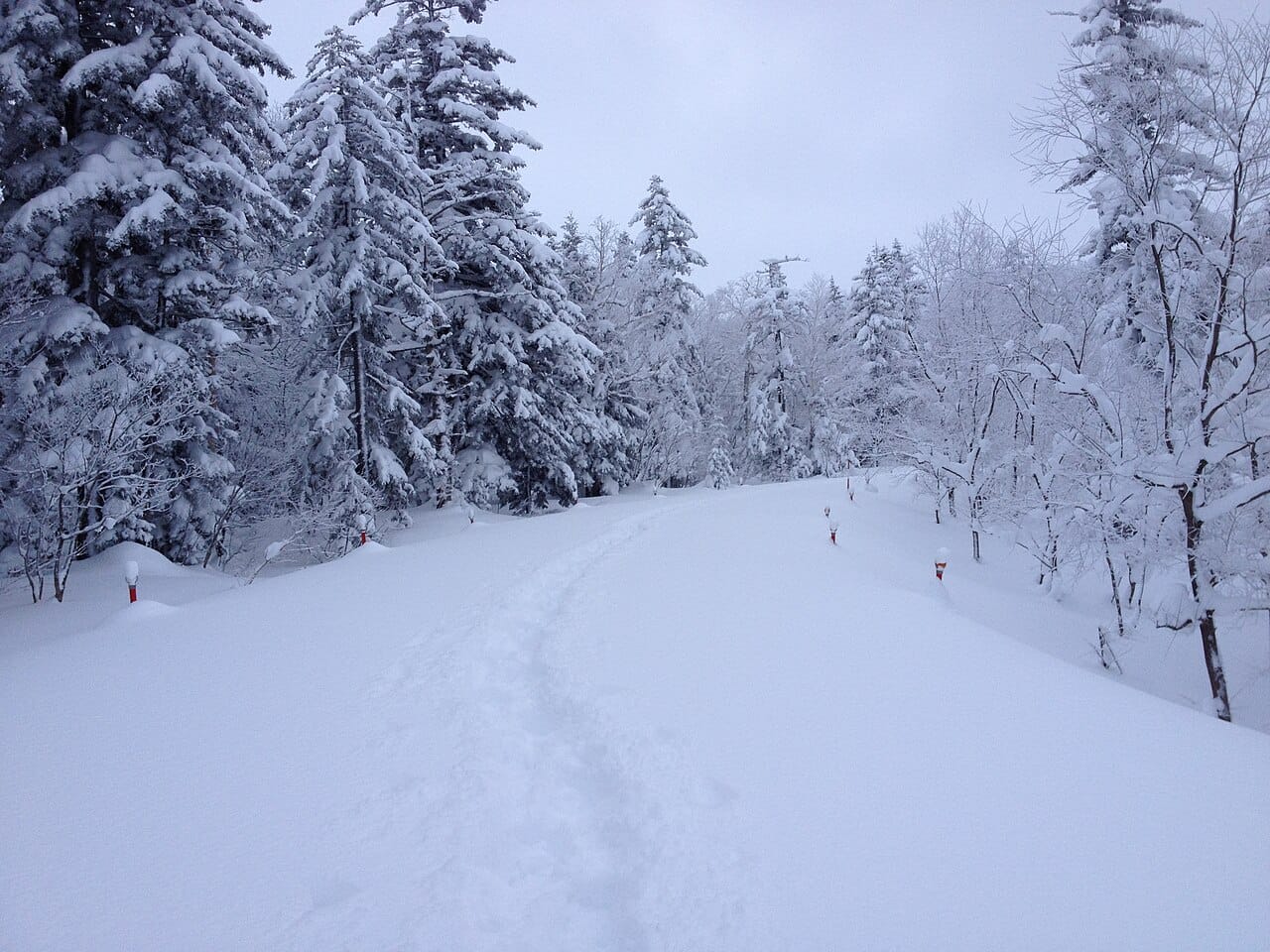 冬季雪路：前往白川鄉合掌村途中的雪封山路