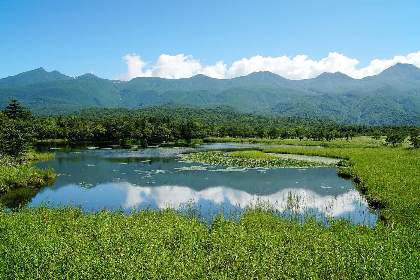 知床五湖的一湖湖面與背後的知床連山,湖上浮著睡蓮葉