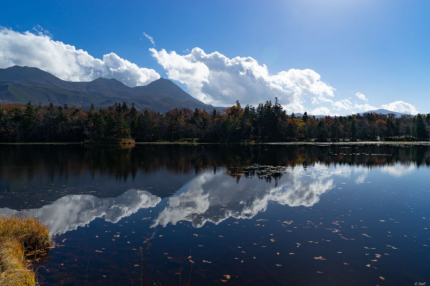 知床五湖之一倒映知床連山與原生林的湖面景色
