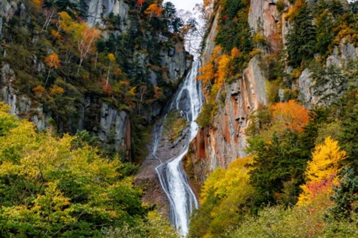 層雲峽大函柱狀玄武岩斷崖夾著整片紅葉,10 月初峽谷最震撼的構圖