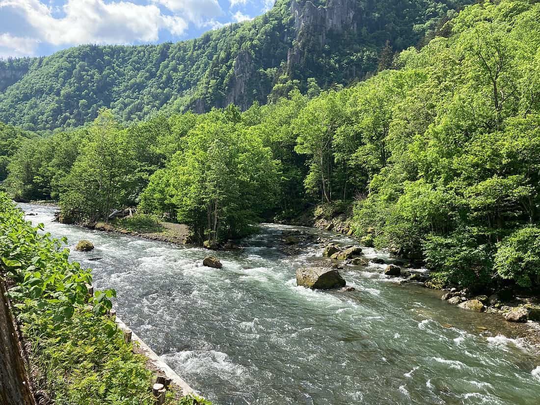 初夏的層雲峽,石狩川湍流穿過新綠森林,後方是陡立的峽谷崖壁