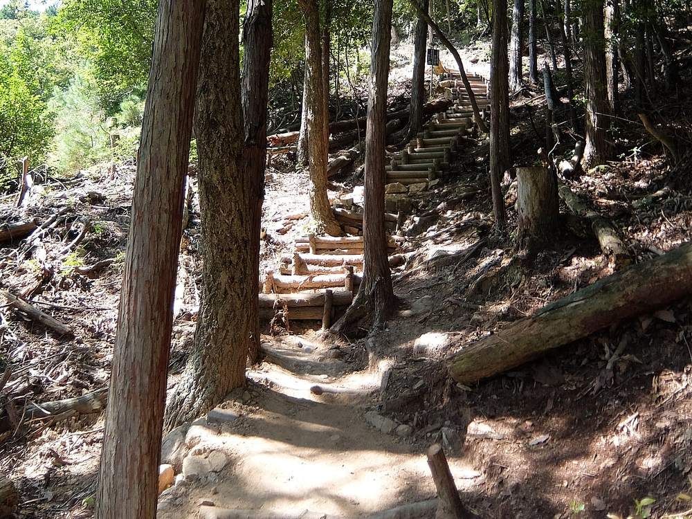 表米神社登山道實況:未鋪裝的泥土路面往上延伸,坡上用原木橫木釘成階梯,兩側是杉木林與裸露的樹根與倒木