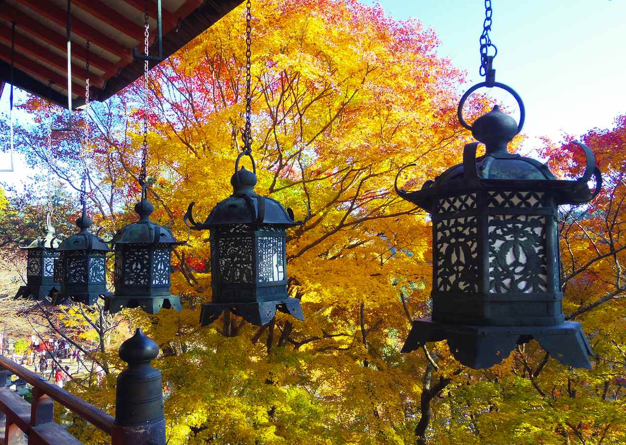 談山神社紅葉見頃,境內楓樹轉紅、十三重塔掩映在紅葉之間