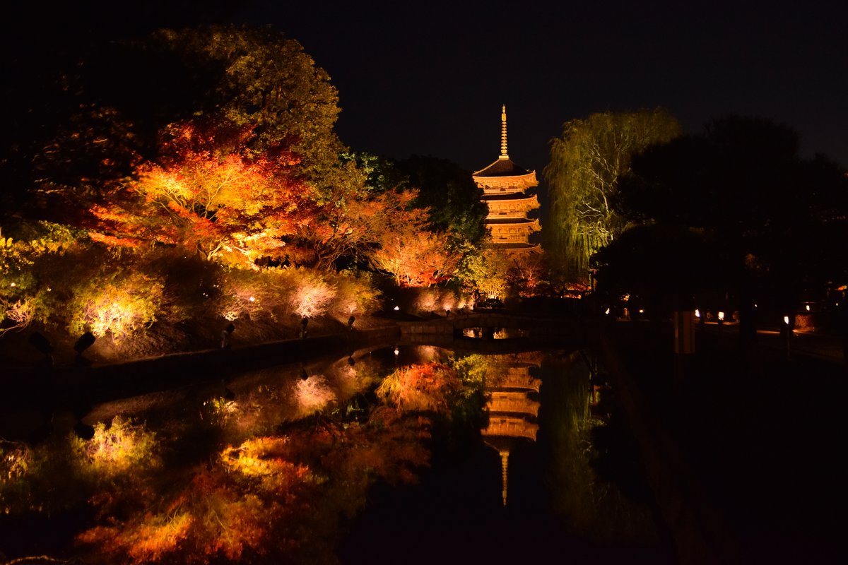 東寺夜間點燈:五重塔與池畔打亮的紅葉,塔身倒映在池面