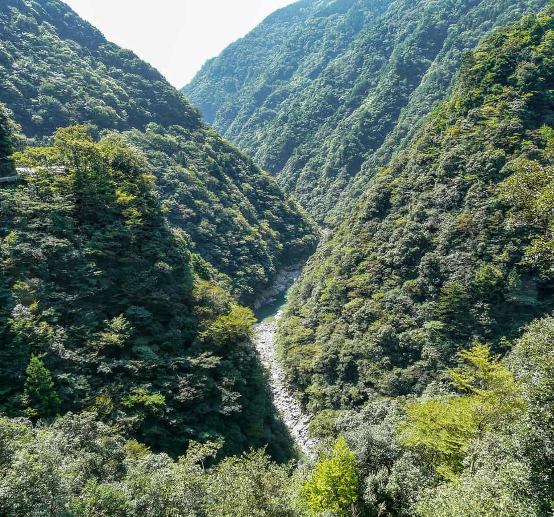 從展望台俯瞰的祖谷溪深山溪谷與層疊綠壁
