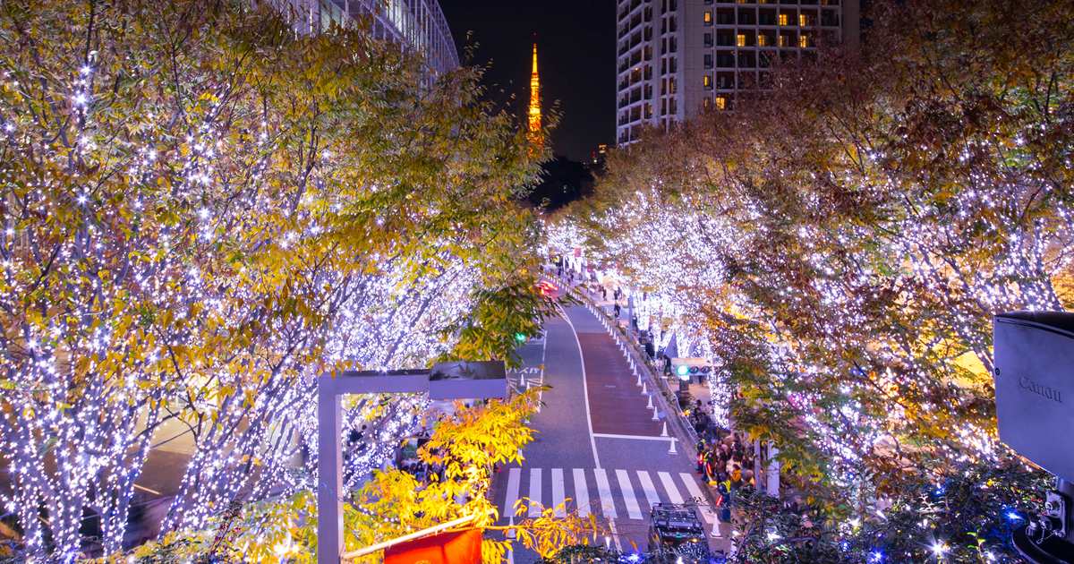 六本木けやき坂點燈與東京鐵塔同框的冬季夜景
