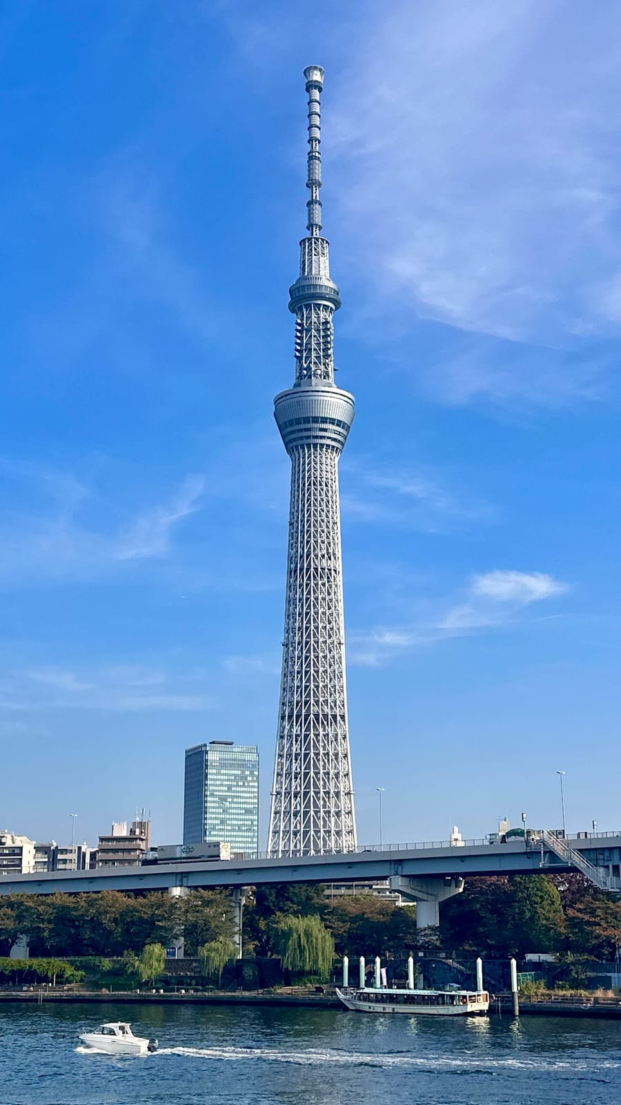 從地面仰望東京晴空塔 634m 全貌