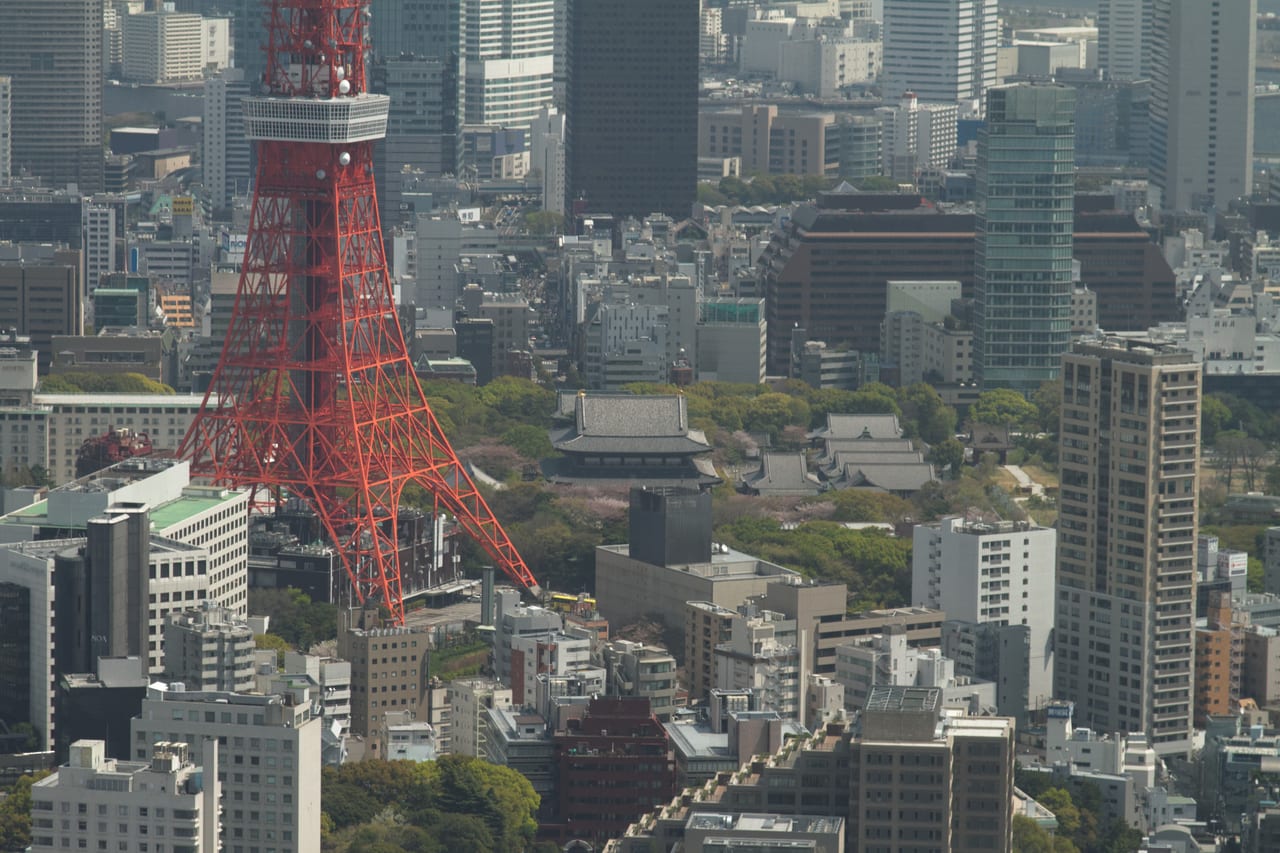 從增上寺前拍攝的東京鐵塔,紅色鐵塔與寺院並列