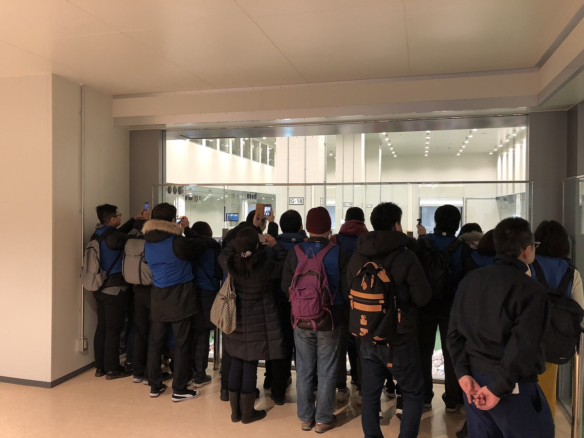 一群穿藍色背心的抽選見學者擠在豊洲市場マグロせり見学デッキ的玻璃窗前,舉著手機拍下方的鮪魚競標