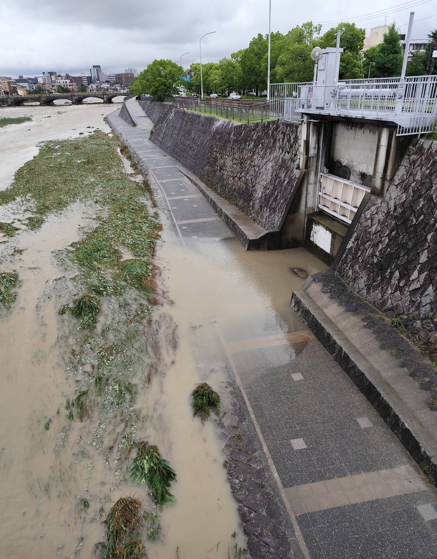 京都鴨川的河岸步道被泥水淹掉一半:水色混濁泛黃,河灘上的草全被沖倒朝同一個方向,右側是石砌護岸與水門,遠處是一座石造拱橋與市區大樓