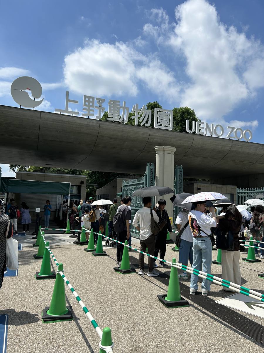上野動物園表門:混凝土橫梁上立著「上野動物園 UENO ZOO」白色立體字,左端是白色鳥類造型的圓形標誌,梁下為青綠色鑄鐵門扇,門前以綠色三角錐與綠白相間鏈條圍出排隊動線,遊客撐著陽傘等候入園