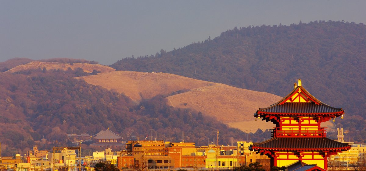 燒山當天傍晚遠望若草山:夕陽照在枯黃的草坡上,左側是更高的覆林山稜,前景是奈良市區建築、東大寺大佛殿的屋頂與紅色的平城宮跡朱雀門