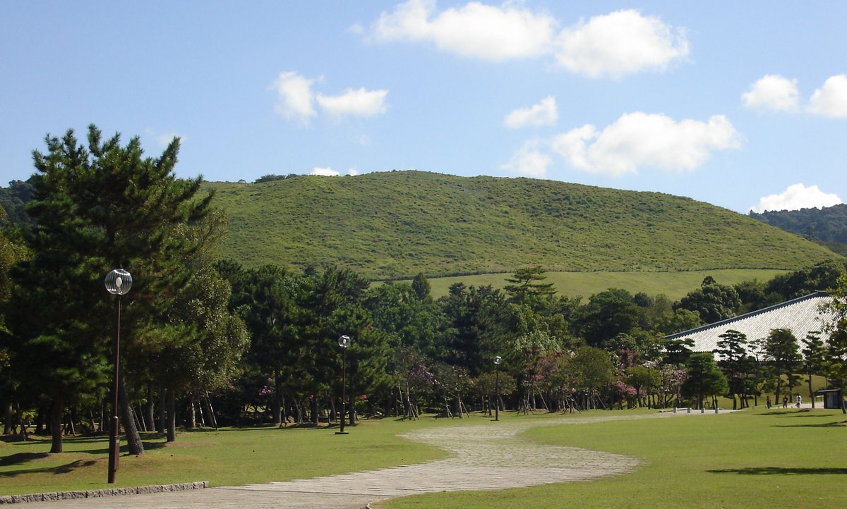從奈良公園的草地看若草山:山頂一整片沒有樹的綠色草坡,前景是松樹、路燈與彎曲的石板步道,右側露出一棟大型寺院建築的屋頂