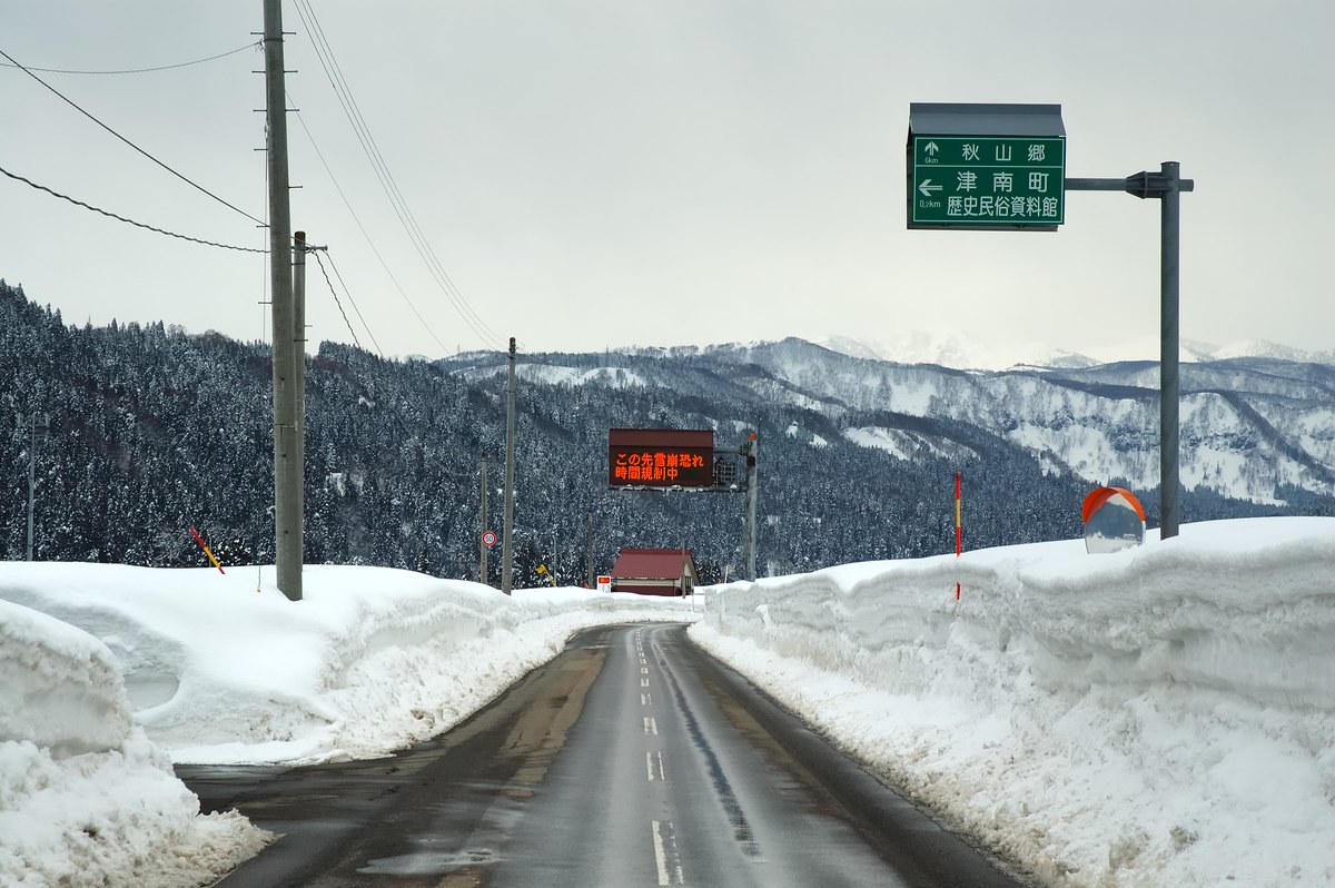 通往新潟秋山鄉的山區道路兩側堆起及肩雪牆,路面僅剩單線寬,前方電子看板亮著「この先雪崩恐れ 時間規制中」的紅字警示