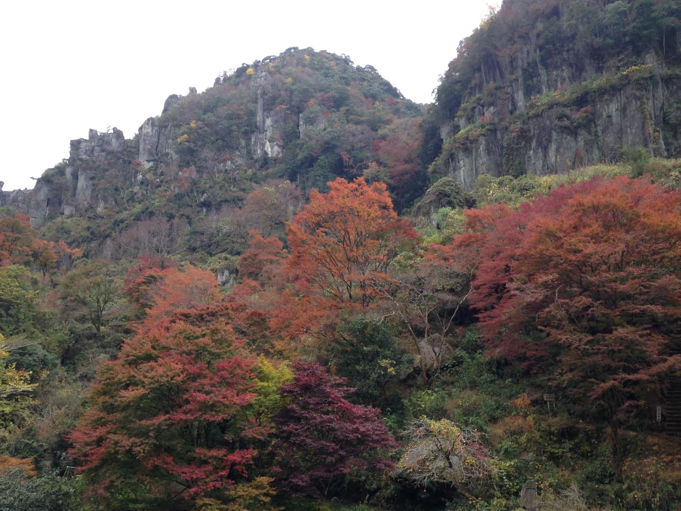 深耶馬溪一目八景鷲ノ巣山與群猿山麓紅葉景觀,岩峰與紅葉交織