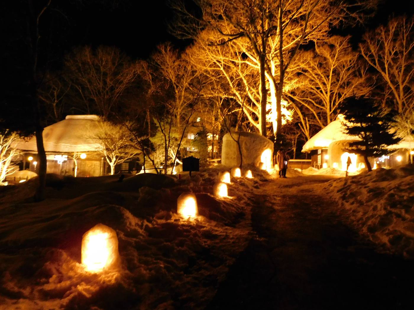 夜裡的平家の里,覆雪的茅草屋頂民家與打亮的大樹之間,雪道旁排著點燈的小雪屋,右側一座比人還高的大型雪屋入口透出燈光