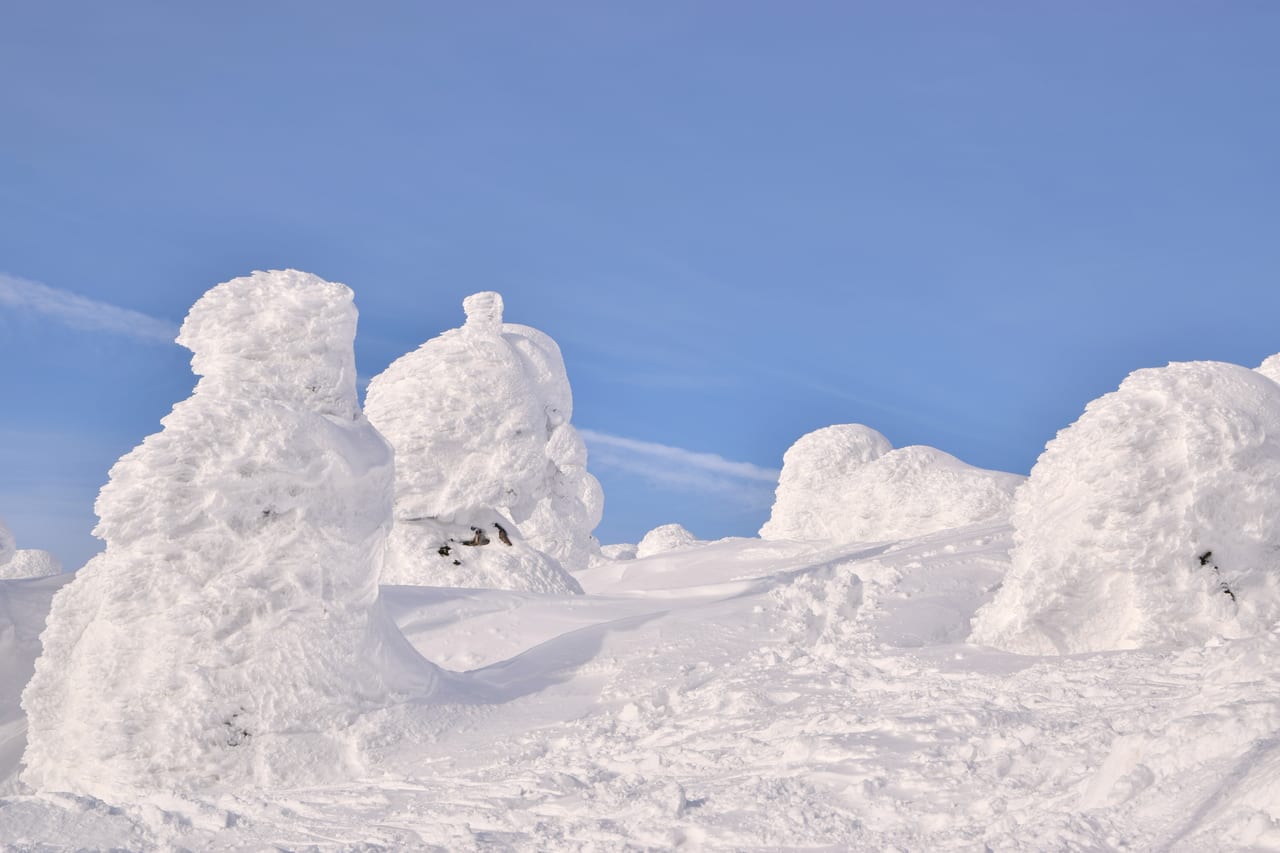 山形藏王冬季覆滿樹冰的雪原,一整片被冰雪包覆成怪物形狀的針葉樹